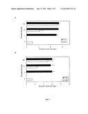 SECRETED CAMPYLOBACTER FLAGELLA COREGULATED PROTEINS AS IMMUNOGENS diagram and image