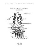 Antibody Specific for Apolipoprotein and Methods of Use Thereof diagram and image