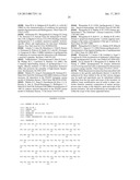 Antibody Specific for Apolipoprotein and Methods of Use Thereof diagram and image