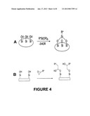 METHODS AND COMPOSITIONS FOR TREATING WOODAANM Lee; KwangyeolAACI BellevueAAST WAAACO USAAGP Lee; Kwangyeol Bellevue WA USAANM Anderson; KraigAACI BurlingameAAST CAAACO USAAGP Anderson; Kraig Burlingame CA US diagram and image