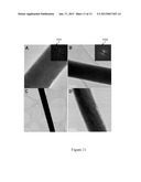 Conformal Coating On Nanostructured Electrode Materials For     Three-Dimensional Applications diagram and image