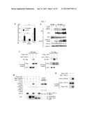 MAP KINASE KINASE KINASE KINASE 3 (MAP4K3) AS A BIOMARKER AND THERAPETIC     TARGET FOR AUTOIMMUNE DISEASE, CANCER, INFLAMMATION AND IL-17-ASSOCIATED     DISEASE diagram and image