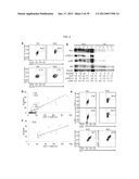 MAP KINASE KINASE KINASE KINASE 3 (MAP4K3) AS A BIOMARKER AND THERAPETIC     TARGET FOR AUTOIMMUNE DISEASE, CANCER, INFLAMMATION AND IL-17-ASSOCIATED     DISEASE diagram and image