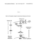 MAP KINASE KINASE KINASE KINASE 3 (MAP4K3) AS A BIOMARKER AND THERAPETIC     TARGET FOR AUTOIMMUNE DISEASE, CANCER, INFLAMMATION AND IL-17-ASSOCIATED     DISEASE diagram and image