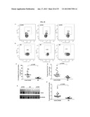 MAP KINASE KINASE KINASE KINASE 3 (MAP4K3) AS A BIOMARKER AND THERAPETIC     TARGET FOR AUTOIMMUNE DISEASE, CANCER, INFLAMMATION AND IL-17-ASSOCIATED     DISEASE diagram and image