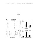 MAP KINASE KINASE KINASE KINASE 3 (MAP4K3) AS A BIOMARKER AND THERAPETIC     TARGET FOR AUTOIMMUNE DISEASE, CANCER, INFLAMMATION AND IL-17-ASSOCIATED     DISEASE diagram and image