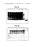 PREPARATION OF PROTECTIVE ANTIGEN diagram and image