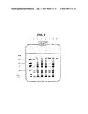 PREPARATION OF PROTECTIVE ANTIGEN diagram and image