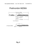 Method for the Preparation of Recombinant Human Thrombin and Fibrinogen diagram and image