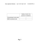 Method for the Preparation of Recombinant Human Thrombin and Fibrinogen diagram and image