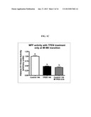 MODULATION OF OOCYTE MEIOTIC PROGRESSION AND OOCYTE ACTIVATION diagram and image