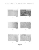 pH-Sensitive Microparticles with Matrix-Dispersed Active Agent diagram and image