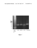 Multivariate Diagnostic Assays and Methods for Using Same diagram and image