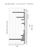 METHOD AND COMPOSITIONS INVOLVING MICRORNA diagram and image