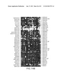 METHOD AND COMPOSITIONS INVOLVING MICRORNA diagram and image