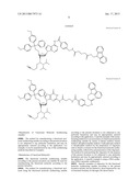 FUNCTIONAL MOLECULE, FUNCTIONAL MOLECULE SYNTHESIZING AMIDITE AND TARGET     SUBSTANCE ANALYSIS METHOD diagram and image