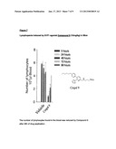 AROMATIC COMPOUNDS HAVING SPHINGOSINE-1-PHOSPHONATE (S1P) RECEPTOR     ACTIVITY diagram and image