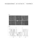 PHARMACEUTICAL COMPOSITION INCLUDING A TESTIS EXTRACT AS AN ACTIVE     INGREDIENT FOR TREATING AND PREVENTING ANEMIAAANM Choi; In-HoAACI Gyeongsan-siAACO KRAAGP Choi; In-Ho Gyeongsan-si KRAANM Lee; Dong-MokAACI DaeguAACO KRAAGP Lee; Dong-Mok Daegu KRAANM Lee; Eun-JuAACI DaeguAACO KRAAGP Lee; Eun-Ju Daegu KRAANM Lee; Ki-HoAACI SeoulAACO KRAAGP Lee; Ki-Ho Seoul KRAANM Cheon; Yong-PilAACI SeoulAACO KRAAGP Cheon; Yong-Pil Seoul KRAANM Chun; Tae-HoonAACI SeoulAACO KRAAGP Chun; Tae-Hoon Seoul KR diagram and image