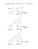 HALOGENATED PHENOLS FOR DIAGNOSTICS, ANTIOXIDANT PROTECTION AND DRUG     DELIVERY diagram and image