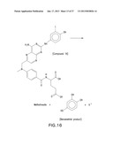 HALOGENATED PHENOLS FOR DIAGNOSTICS, ANTIOXIDANT PROTECTION AND DRUG     DELIVERY diagram and image