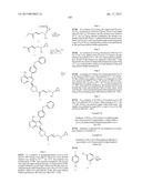 INHIBITORS OF BRUTON S TYROSINE KINASE diagram and image