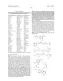 INHIBITORS OF BRUTON S TYROSINE KINASE diagram and image