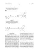 BI-FUNCTIONAL PYRAZOLOPYRIDINE COMPOUNDS diagram and image