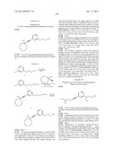 ALKYNYL PHENYL DERIVATIVE COMPOUNDS FOR TREATING OPHTHALMIC DISEASES AND     DISORDERS diagram and image