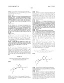 ALKYNYL PHENYL DERIVATIVE COMPOUNDS FOR TREATING OPHTHALMIC DISEASES AND     DISORDERS diagram and image