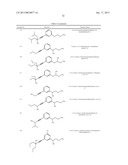 ALKYNYL PHENYL DERIVATIVE COMPOUNDS FOR TREATING OPHTHALMIC DISEASES AND     DISORDERS diagram and image