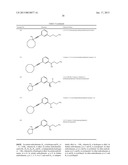 ALKYNYL PHENYL DERIVATIVE COMPOUNDS FOR TREATING OPHTHALMIC DISEASES AND     DISORDERS diagram and image