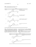 ALKYNYL PHENYL DERIVATIVE COMPOUNDS FOR TREATING OPHTHALMIC DISEASES AND     DISORDERS diagram and image