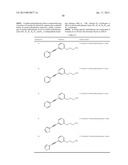 ALKYNYL PHENYL DERIVATIVE COMPOUNDS FOR TREATING OPHTHALMIC DISEASES AND     DISORDERS diagram and image