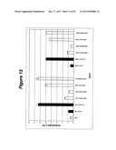 RNA INTERFERENCE MEDIATED INHIBITION OF GENE EXPRESSION USING CHEMICALLY     MODIFIED SHORT INTERFERING NUCLEIC ACID (siNA) diagram and image