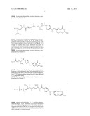 RNA INTERFERENCE MEDIATED INHIBITION OF GENE EXPRESSION USING CHEMICALLY     MODIFIED SHORT INTERFERING NUCLEIC ACID (siNA) diagram and image