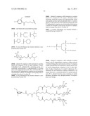 RNA INTERFERENCE MEDIATED INHIBITION OF GENE EXPRESSION USING CHEMICALLY     MODIFIED SHORT INTERFERING NUCLEIC ACID (siNA) diagram and image