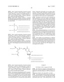 RNA INTERFERENCE MEDIATED INHIBITION OF GENE EXPRESSION USING CHEMICALLY     MODIFIED SHORT INTERFERING NUCLEIC ACID (siNA) diagram and image