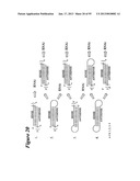 RNA INTERFERENCE MEDIATED INHIBITION OF GENE EXPRESSION USING CHEMICALLY     MODIFIED SHORT INTERFERING NUCLEIC ACID (siNA) diagram and image