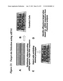 RNA INTERFERENCE MEDIATED INHIBITION OF GENE EXPRESSION USING CHEMICALLY     MODIFIED SHORT INTERFERING NUCLEIC ACID (siNA) diagram and image