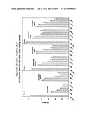 RNA INTERFERENCE MEDIATED INHIBITION OF GENE EXPRESSION USING CHEMICALLY     MODIFIED SHORT INTERFERING NUCLEIC ACID (siNA) diagram and image