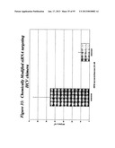 RNA INTERFERENCE MEDIATED INHIBITION OF GENE EXPRESSION USING CHEMICALLY     MODIFIED SHORT INTERFERING NUCLEIC ACID (siNA) diagram and image