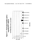 RNA INTERFERENCE MEDIATED INHIBITION OF GENE EXPRESSION USING CHEMICALLY     MODIFIED SHORT INTERFERING NUCLEIC ACID (siNA) diagram and image