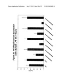 RNA INTERFERENCE MEDIATED INHIBITION OF GENE EXPRESSION USING CHEMICALLY     MODIFIED SHORT INTERFERING NUCLEIC ACID (siNA) diagram and image