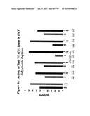 RNA INTERFERENCE MEDIATED INHIBITION OF GENE EXPRESSION USING CHEMICALLY     MODIFIED SHORT INTERFERING NUCLEIC ACID (siNA) diagram and image