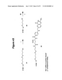 RNA INTERFERENCE MEDIATED INHIBITION OF GENE EXPRESSION USING CHEMICALLY     MODIFIED SHORT INTERFERING NUCLEIC ACID (siNA) diagram and image