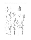 RNA INTERFERENCE MEDIATED INHIBITION OF GENE EXPRESSION USING CHEMICALLY     MODIFIED SHORT INTERFERING NUCLEIC ACID (siNA) diagram and image