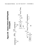 RNA INTERFERENCE MEDIATED INHIBITION OF GENE EXPRESSION USING CHEMICALLY     MODIFIED SHORT INTERFERING NUCLEIC ACID (siNA) diagram and image