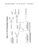 RNA INTERFERENCE MEDIATED INHIBITION OF GENE EXPRESSION USING CHEMICALLY     MODIFIED SHORT INTERFERING NUCLEIC ACID (siNA) diagram and image