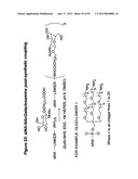 RNA INTERFERENCE MEDIATED INHIBITION OF GENE EXPRESSION USING CHEMICALLY     MODIFIED SHORT INTERFERING NUCLEIC ACID (siNA) diagram and image