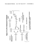 RNA INTERFERENCE MEDIATED INHIBITION OF GENE EXPRESSION USING CHEMICALLY     MODIFIED SHORT INTERFERING NUCLEIC ACID (siNA) diagram and image